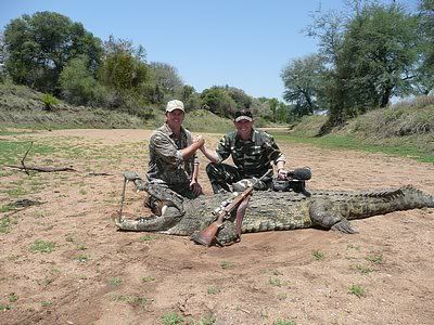 Africa Forum Hunting Safari on Hunting Highlights 2008 Season With Daggaboy Safaris   Hunting And