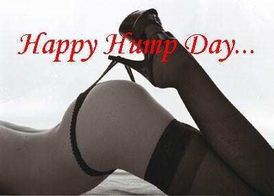 happy_hump_day Pictures, Images and Photos