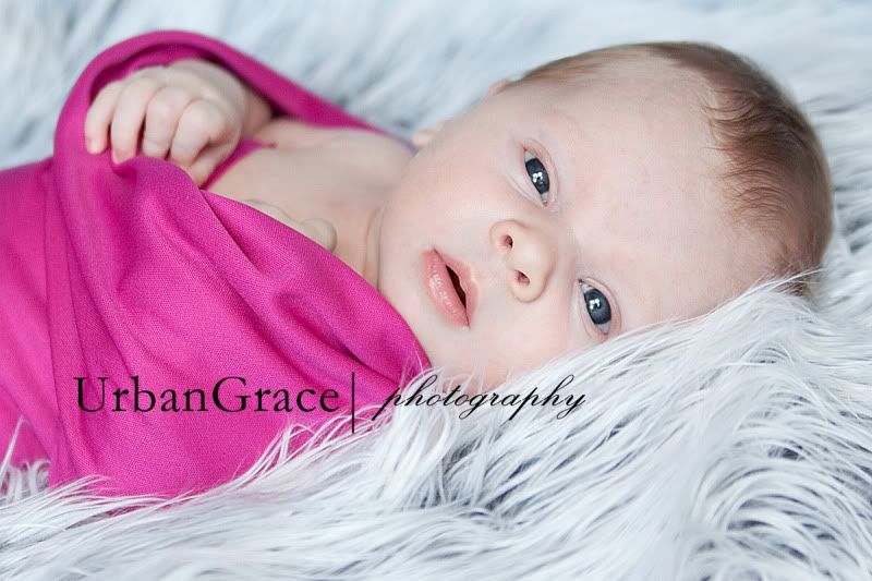 newborn photographer newborn photographer atlanta newborn photographer buford newborn photographer
