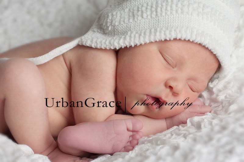 newborn photographer newborn photographer atlanta newborn photographer buford newborn photographer