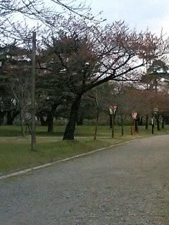 Tsuruoka park roadway