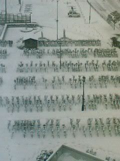 rows of bikes