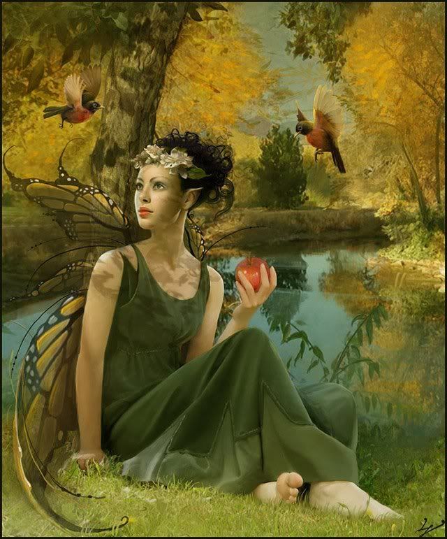 apple tree faerie Pictures, Images and Photos