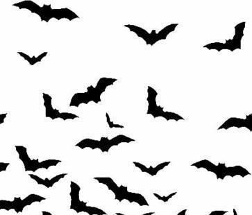 Bats Pictures, Images and Photos