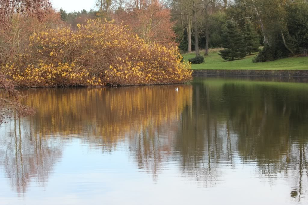 IMAGE: http://i247.photobucket.com/albums/gg135/Boogie99_2008/99344c05.jpg