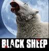black sheep Avatar
