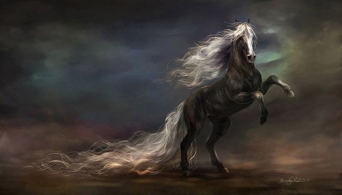 Pegasus (Unicorn) Resimleri