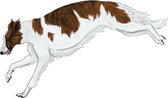 borzoi.png