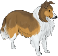 sheltiepops.png