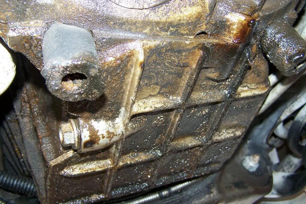 head gasket timing belt?? S10 Forum