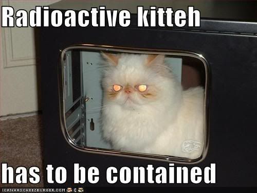 funny-pictures-your-radioactive-cat.jpg