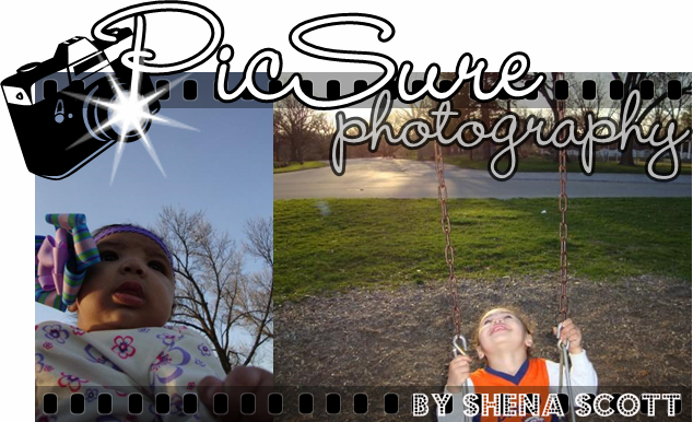 PicSure Photography