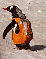 penguin-backpack.jpg
