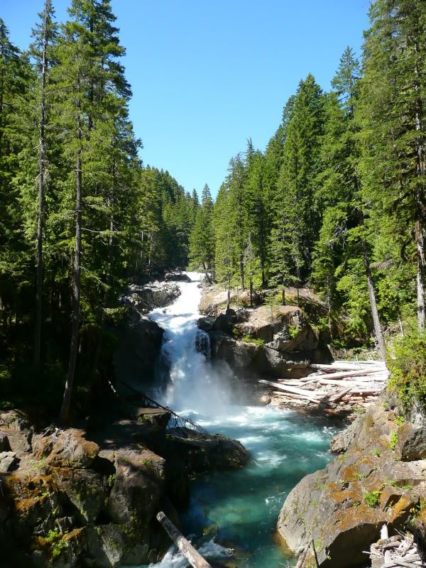 SilverFalls-Ohanapecosh.jpg