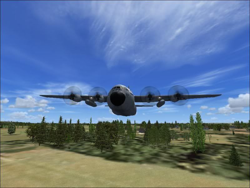 http://i247.photobucket.com/albums/gg146/znorgohyde/fsx/C-130/C-130-5.jpg