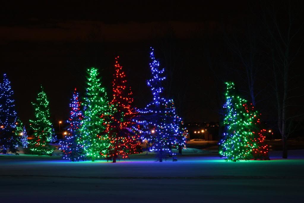 christmas-rope-display-lights-06_zpsd6f18842.jpg