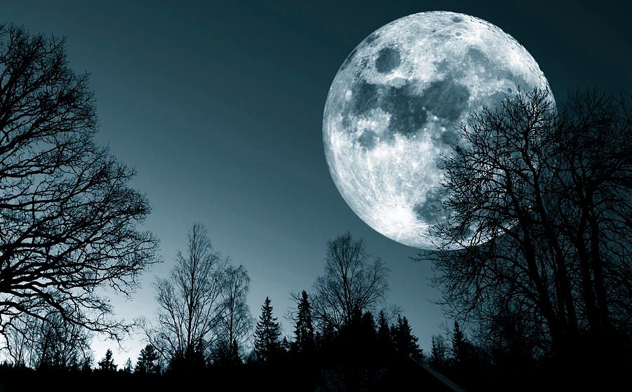 full-moon-over-dark-forest-christian-lag