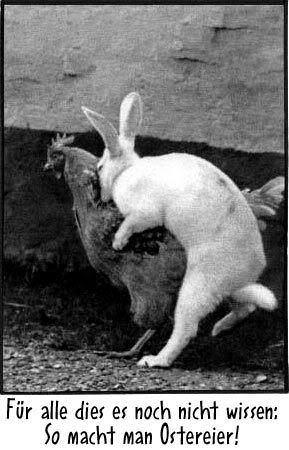 [Bild: ostereier.jpg]