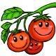 Cheery Tomatoes Pictures, Images and Photos
