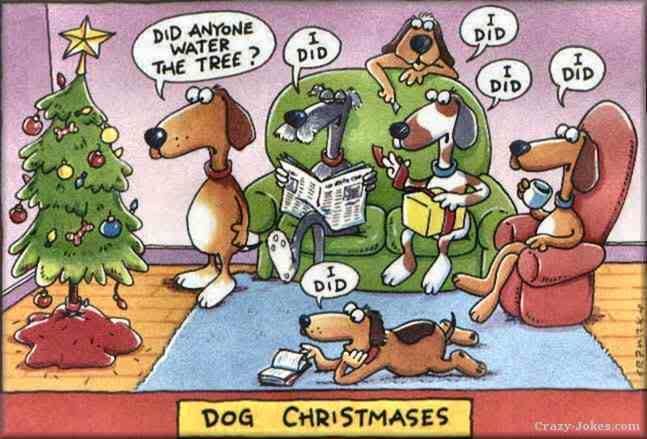 christmas dogs photo: dogs dog-christmas.jpg