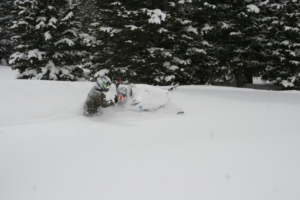 4-5-09sleds059.jpg