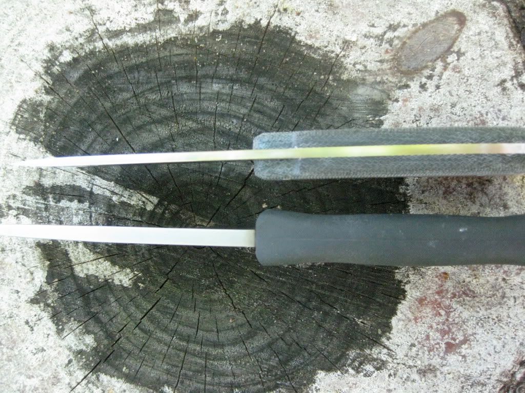 [Linked Image from i247.photobucket.com]