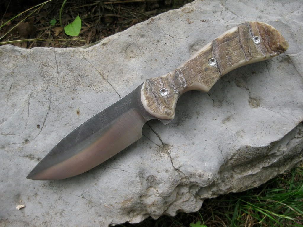 [Linked Image from i247.photobucket.com]