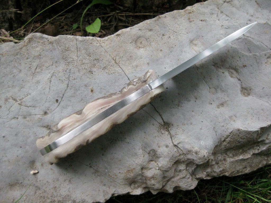 [Linked Image from i247.photobucket.com]