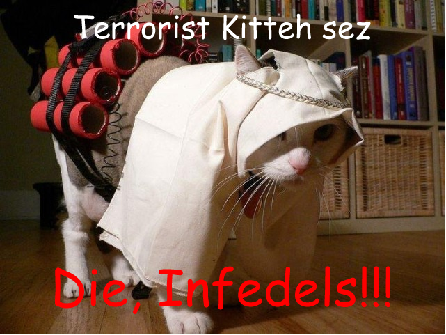 terroristkitteh.png