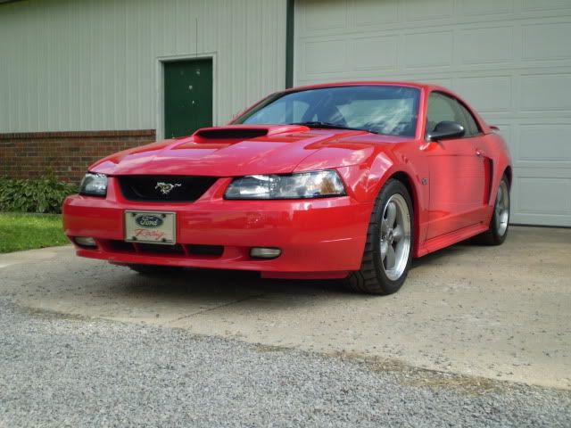 mustang2009001.jpg