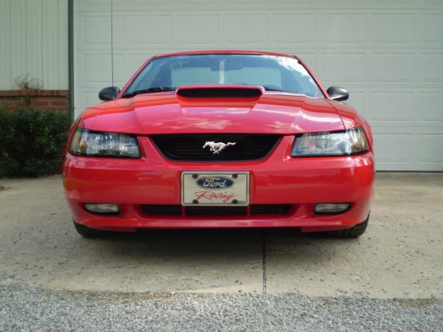 mustang2009002.jpg