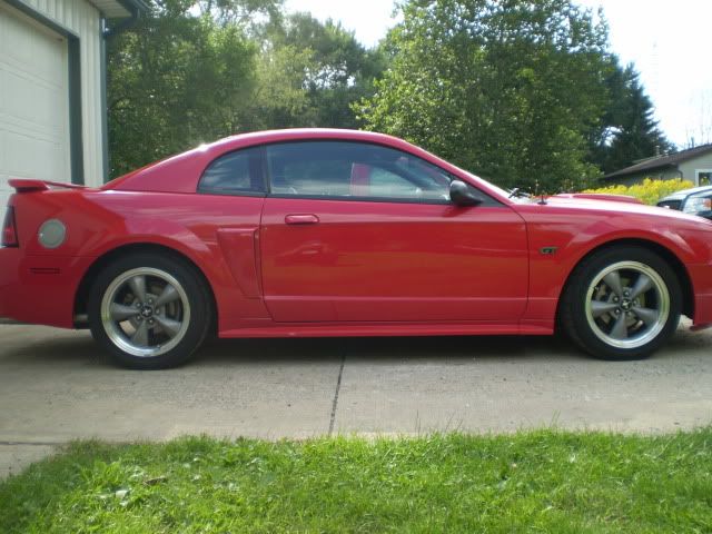 mustang2009004.jpg