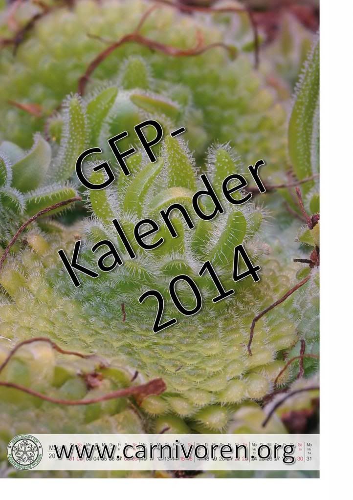 GFP_Kalender2014-3jpg_zpse9aa3fe6.jpg
