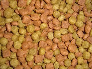 Barf Diet For Dogs What To Feed