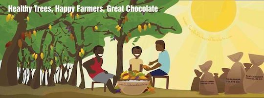 healthy trees happy farmers great chocolate