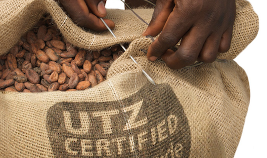 utz certified vanzeek cocoa