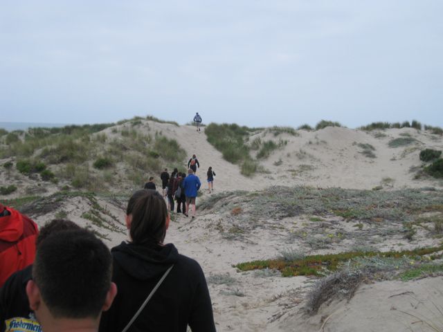 Beach hike Pic9 1