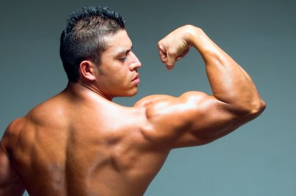 biceps 1