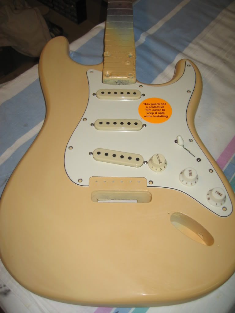 Keystone colors... cream vs. parchment vs. white Fender InfoBase™ (FIB™)