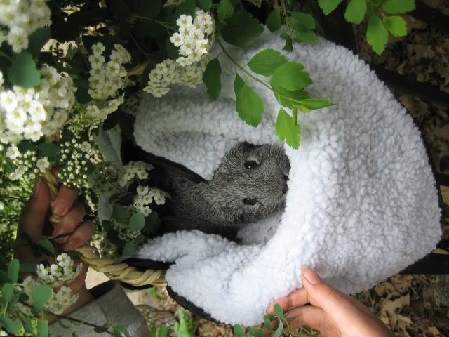 08-05-110004.jpg