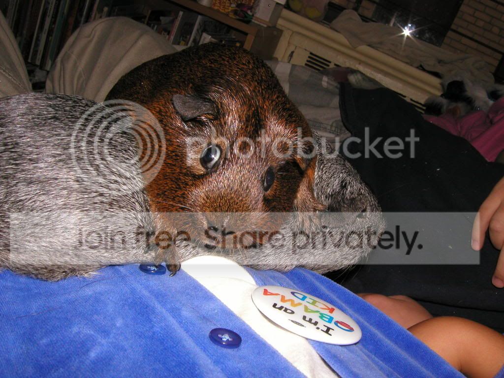20081005_0029.jpg