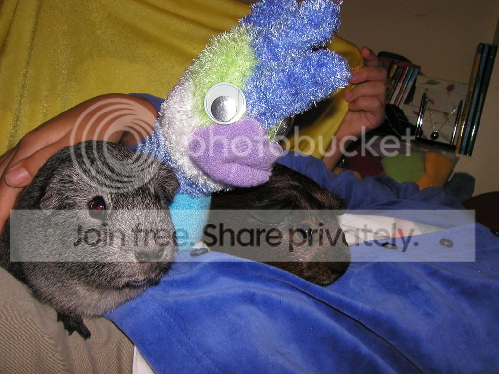 20081005_0040.jpg