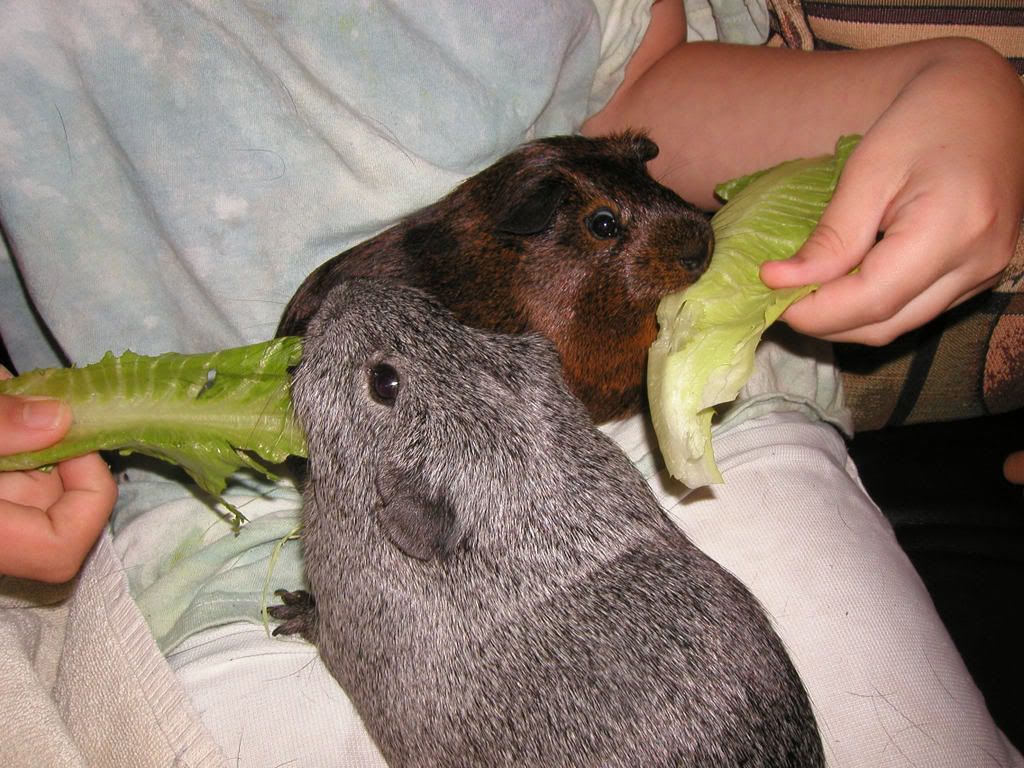 p3.jpg