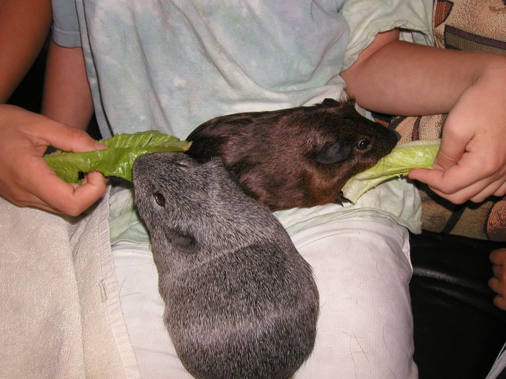 p4.jpg