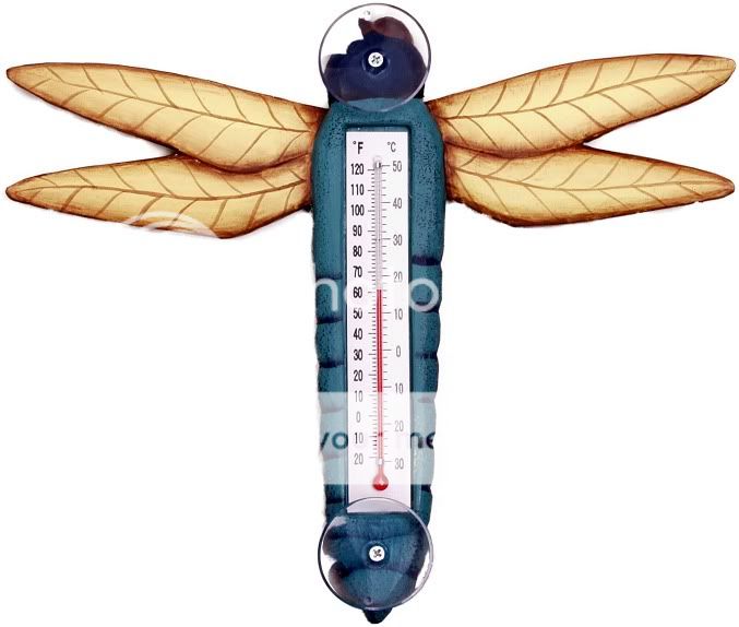 Outdoor Window Wood Dragonfly Thermometer  