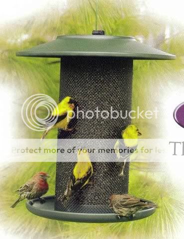 Birdfeeder   Large Steel Finch Thistle Bird Feeder 4qt  