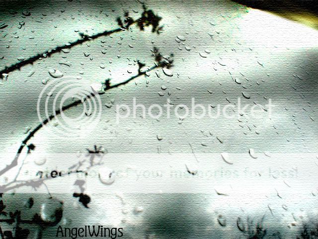  photo Rain.jpg