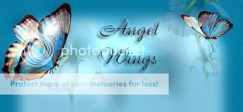  photo angelwings-1.jpg