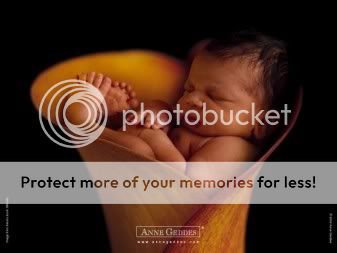 anne geddes Pictures, Images and Photos