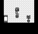 [PokeCommunity.com] Bodily Disfunctions [insert petilil here]